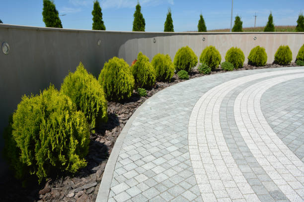 Best Residential Driveway Paver Services  in Butte, MT